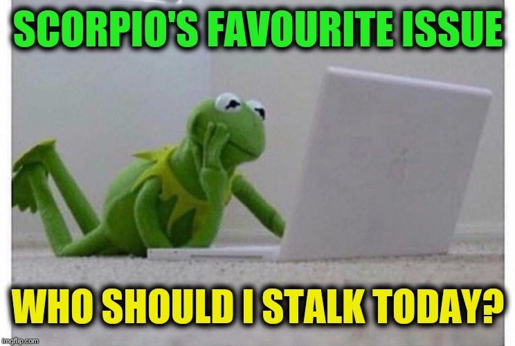 Green green green all over |  SCORPIO'S FAVOURITE ISSUE; WHO SHOULD I STALK TODAY? | image tagged in scorpion,zodiac,jealous,green,kermit,stalker | made w/ Imgflip meme maker