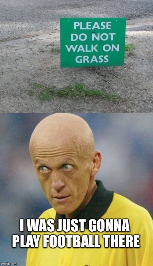 Stupid signs week keep off the grass! Lord cheesus stupid signs week. | I WAS JUST GONNA PLAY FOOTBALL THERE | image tagged in are you serious football,stupid signs week,lordcheesus,funny,funny signs,stupid signs | made w/ Imgflip meme maker