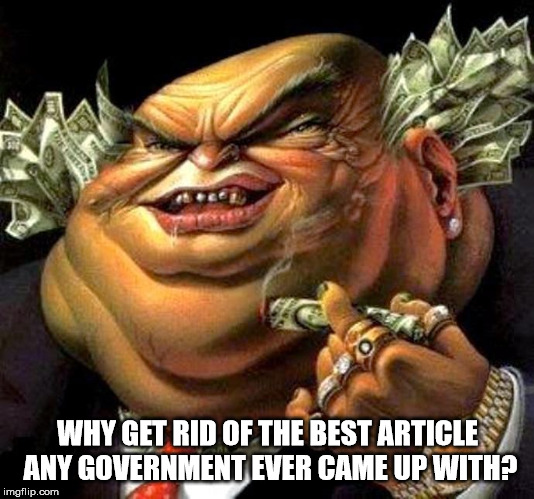 capitalist criminal pig | WHY GET RID OF THE BEST ARTICLE ANY GOVERNMENT EVER CAME UP WITH? | image tagged in capitalist criminal pig | made w/ Imgflip meme maker