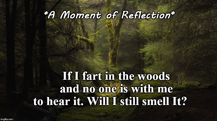 Pointless Ponderings. | *A Moment of Reflection*; If I fart in the woods      and no one is with me  to hear it. Will I still smell It? | image tagged in mind blown | made w/ Imgflip meme maker