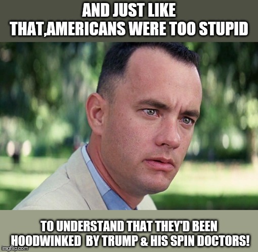 And Just Like That Meme | AND JUST LIKE THAT,AMERICANS WERE TOO STUPID TO UNDERSTAND THAT THEY'D BEEN HOODWINKED  BY TRUMP & HIS SPIN DOCTORS! | image tagged in and just like that | made w/ Imgflip meme maker