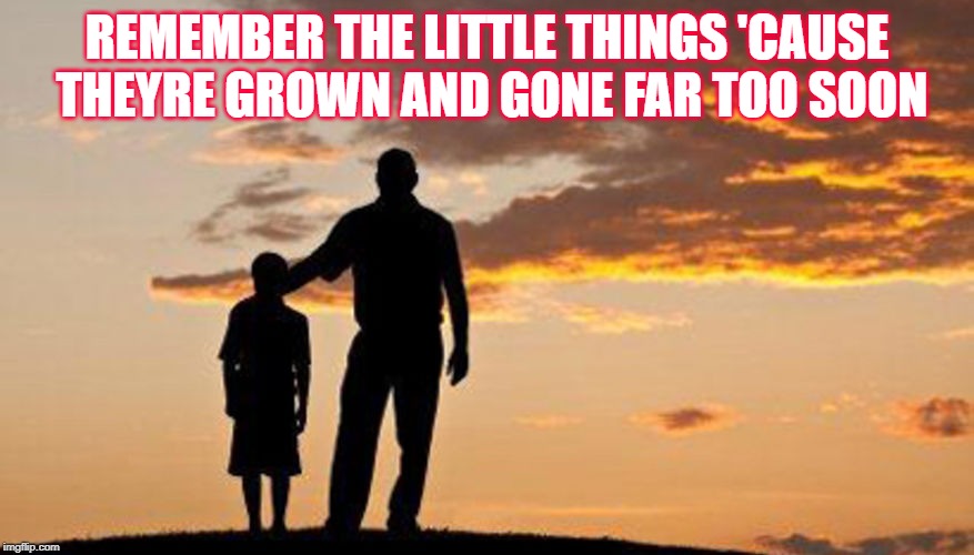REMEMBER THE LITTLE THINGS 'CAUSE THEYRE GROWN AND GONE FAR TOO SOON | image tagged in family,time,love | made w/ Imgflip meme maker
