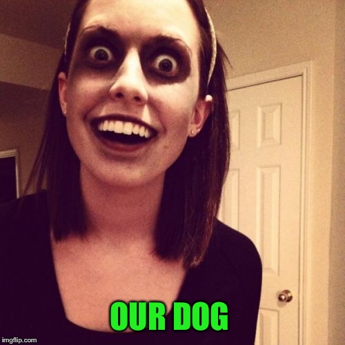 Zombie Overly Attached Girlfriend Meme | OUR DOG | image tagged in memes,zombie overly attached girlfriend | made w/ Imgflip meme maker