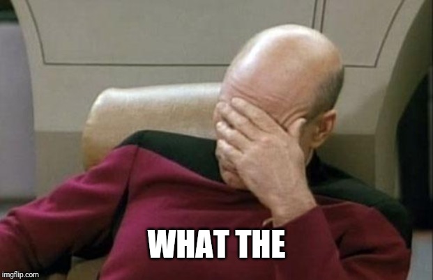 Captain Picard Facepalm Meme | WHAT THE | image tagged in memes,captain picard facepalm | made w/ Imgflip meme maker