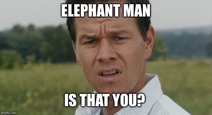 Mark Wahlburg confused | ELEPHANT MAN IS THAT YOU? | image tagged in mark wahlburg confused | made w/ Imgflip meme maker