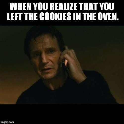 Liam Neeson Taken Meme | WHEN YOU REALIZE THAT YOU LEFT THE COOKIES IN THE OVEN. | image tagged in memes,liam neeson taken | made w/ Imgflip meme maker
