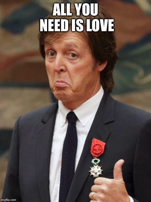 Paul McCartney Approves  | ALL YOU NEED IS LOVE | image tagged in paul mccartney approves | made w/ Imgflip meme maker