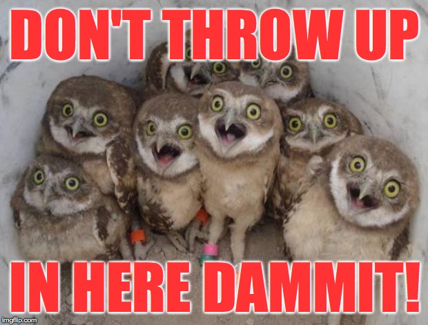 Excited Owls | DON'T THROW UP IN HERE DAMMIT! | image tagged in excited owls | made w/ Imgflip meme maker