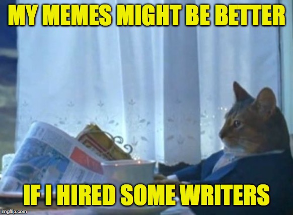 Name your price  ( : | MY MEMES MIGHT BE BETTER; IF I HIRED SOME WRITERS | image tagged in memes,i should buy a boat cat | made w/ Imgflip meme maker