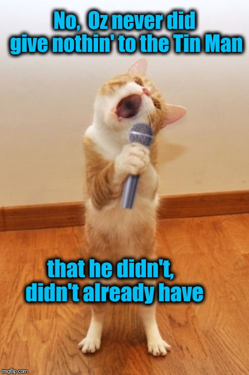 Karaoke Cat | No,  Oz never did give nothin' to the Tin Man that he didn't,  didn't already have | image tagged in karaoke cat | made w/ Imgflip meme maker