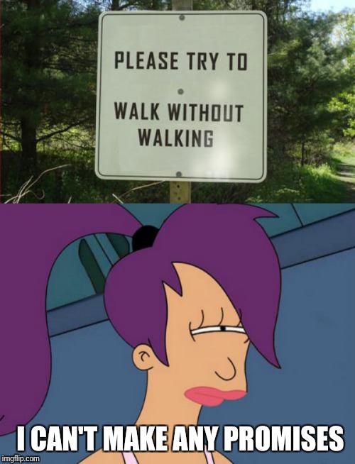 Stupid Signs Week (April 17-23), A LordCheesus and DaBoiIsMeAvery event |  I CAN'T MAKE ANY PROMISES | image tagged in memes,futurama leela,stupid people stupid signs,lordcheesus,daboilsmeavery | made w/ Imgflip meme maker