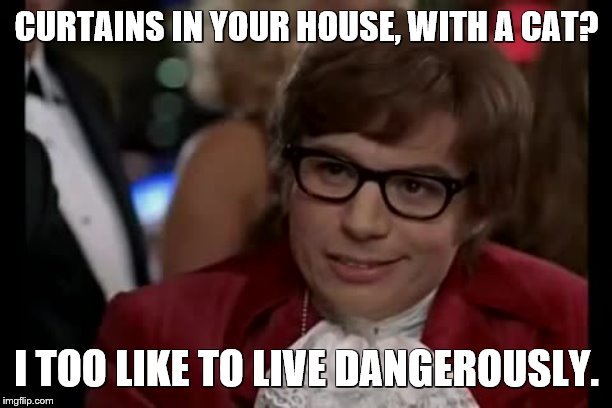 I Too Like To Live Dangerously Meme | CURTAINS IN YOUR HOUSE, WITH A CAT? I TOO LIKE TO LIVE DANGEROUSLY. | image tagged in memes,i too like to live dangerously | made w/ Imgflip meme maker