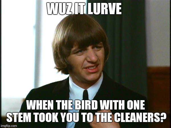 Ringo Starr | WUZ IT LURVE WHEN THE BIRD WITH ONE STEM TOOK YOU TO THE CLEANERS? | image tagged in ringo starr | made w/ Imgflip meme maker