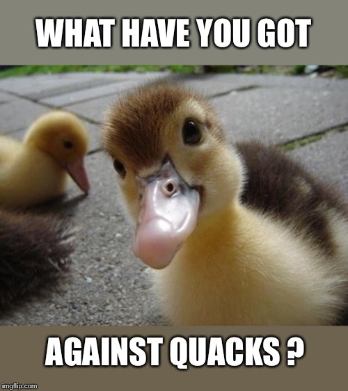 WHAT HAVE YOU GOT AGAINST QUACKS ? | made w/ Imgflip meme maker