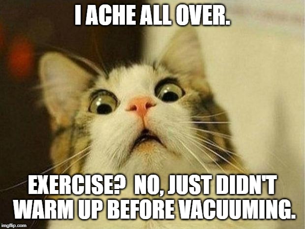 Scared Cat | I ACHE ALL OVER. EXERCISE?  NO, JUST DIDN'T WARM UP BEFORE VACUUMING. | image tagged in memes,scared cat | made w/ Imgflip meme maker