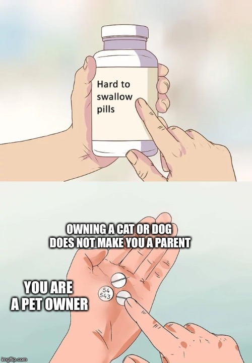 Hard To Swallow Pills | OWNING A CAT OR DOG DOES NOT MAKE YOU A PARENT; YOU ARE A PET OWNER | image tagged in memes,hard to swallow pills | made w/ Imgflip meme maker