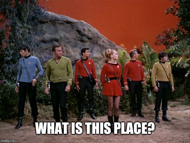 Star Trek away team | WHAT IS THIS PLACE? | image tagged in star trek away team | made w/ Imgflip meme maker