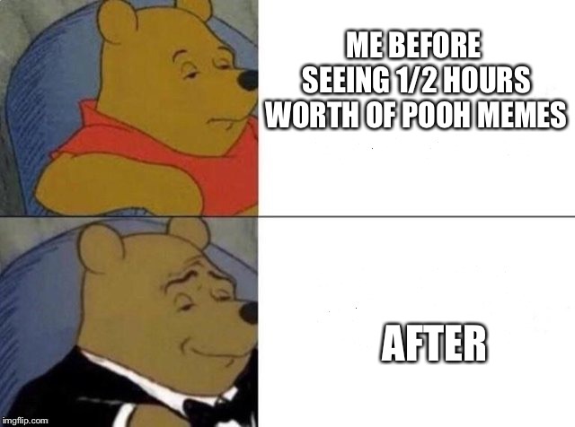 Tuxedo Winnie The Pooh | ME BEFORE SEEING 1/2 HOURS WORTH OF POOH MEMES; AFTER | image tagged in tuxedo winnie the pooh | made w/ Imgflip meme maker
