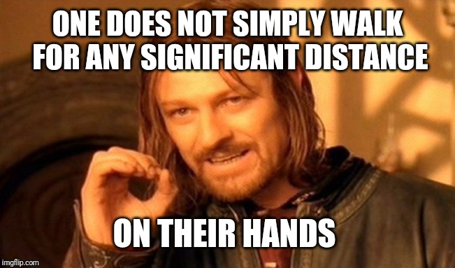 One Does Not Simply Meme | ONE DOES NOT SIMPLY WALK FOR ANY SIGNIFICANT DISTANCE ON THEIR HANDS | image tagged in memes,one does not simply | made w/ Imgflip meme maker