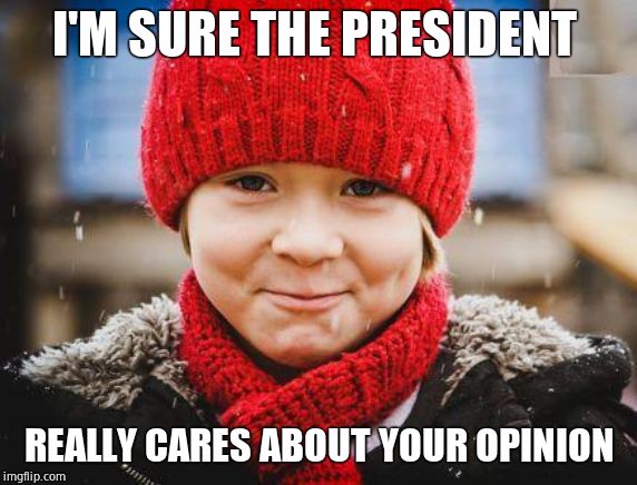 smirk | I'M SURE THE PRESIDENT REALLY CARES ABOUT YOUR OPINION | image tagged in smirk | made w/ Imgflip meme maker