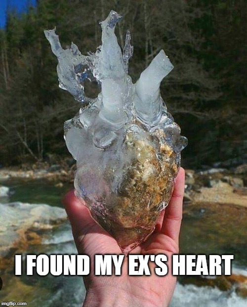 ICE HEART | I FOUND MY EX'S HEART | image tagged in ice heart | made w/ Imgflip meme maker