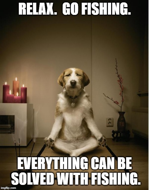 dog meditation funny | RELAX.  GO FISHING. EVERYTHING CAN BE SOLVED WITH FISHING. | image tagged in dog meditation funny | made w/ Imgflip meme maker