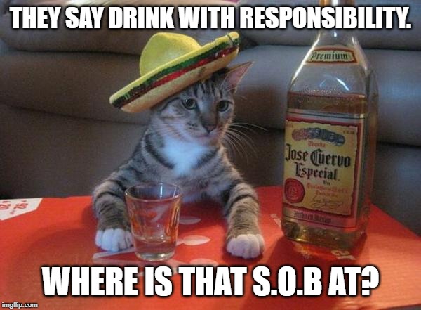 alcohol cat | THEY SAY DRINK WITH RESPONSIBILITY. WHERE IS THAT S.O.B AT? | image tagged in alcohol cat | made w/ Imgflip meme maker