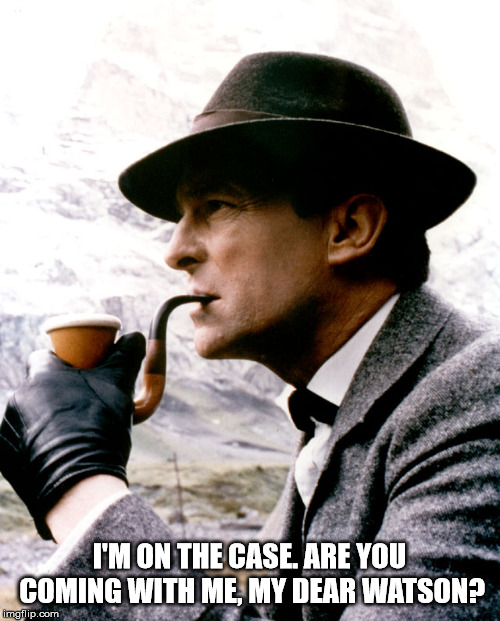 Sherlock Holmes  | I'M ON THE CASE. ARE YOU COMING WITH ME, MY DEAR WATSON? | image tagged in sherlock holmes | made w/ Imgflip meme maker