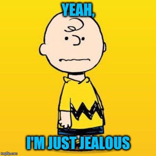 charlie brown | YEAH, I'M JUST JEALOUS | image tagged in charlie brown | made w/ Imgflip meme maker