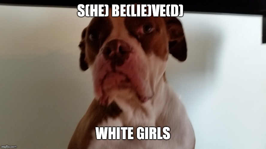 Crackhead dog | S(HE) BE(LIE)VE(D); WHITE GIRLS | image tagged in crackhead dog | made w/ Imgflip meme maker