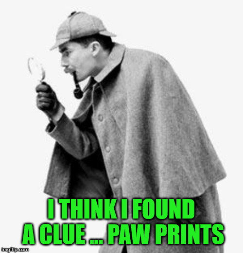 detective | I THINK I FOUND A CLUE ... PAW PRINTS | image tagged in detective | made w/ Imgflip meme maker