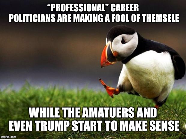 Unpopular Opinion Puffin | “PROFESSIONAL” CAREER POLITICIANS ARE MAKING A FOOL OF THEMSELE; WHILE THE AMATUERS AND EVEN TRUMP START TO MAKE SENSE | image tagged in memes,unpopular opinion puffin | made w/ Imgflip meme maker