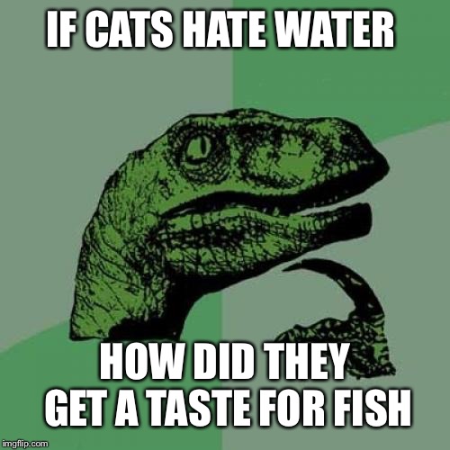 Philosoraptor Meme | IF CATS HATE WATER; HOW DID THEY GET A TASTE FOR FISH | image tagged in memes,philosoraptor | made w/ Imgflip meme maker