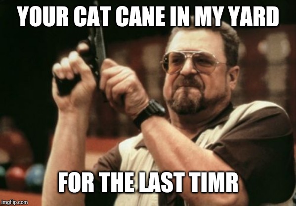 Am I The Only One Around Here | YOUR CAT CANE IN MY YARD; FOR THE LAST TIMR | image tagged in memes,am i the only one around here | made w/ Imgflip meme maker