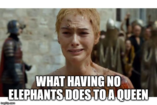 WHAT HAVING NO ELEPHANTS DOES TO A QUEEN | image tagged in game of thrones | made w/ Imgflip meme maker