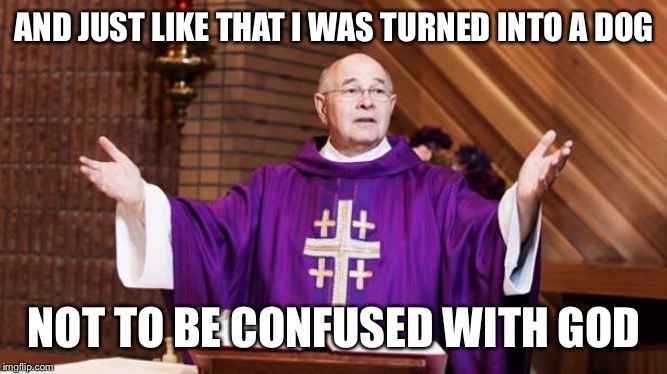 AND JUST LIKE THAT I WAS TURNED INTO A DOG NOT TO BE CONFUSED WITH GOD | image tagged in priest | made w/ Imgflip meme maker
