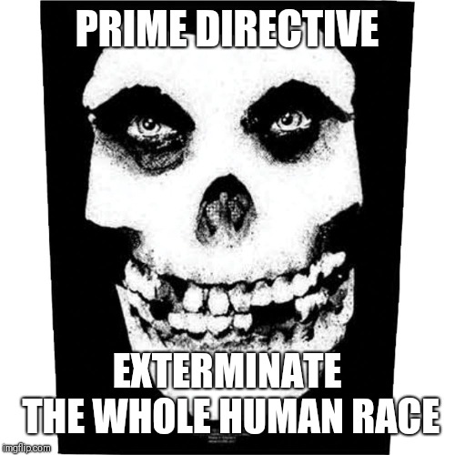 PRIME DIRECTIVE; EXTERMINATE THE WHOLE HUMAN RACE | image tagged in politics,skull | made w/ Imgflip meme maker