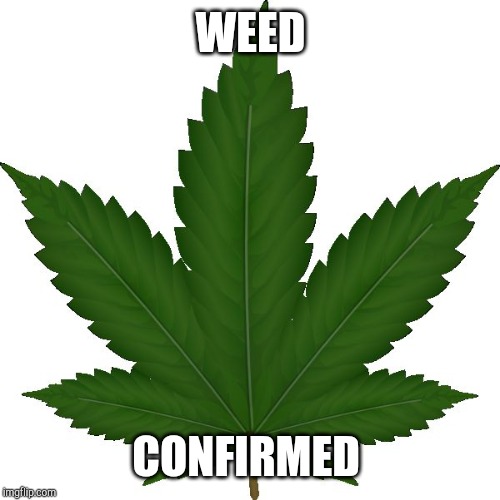 weed | WEED; CONFIRMED | image tagged in weed | made w/ Imgflip meme maker