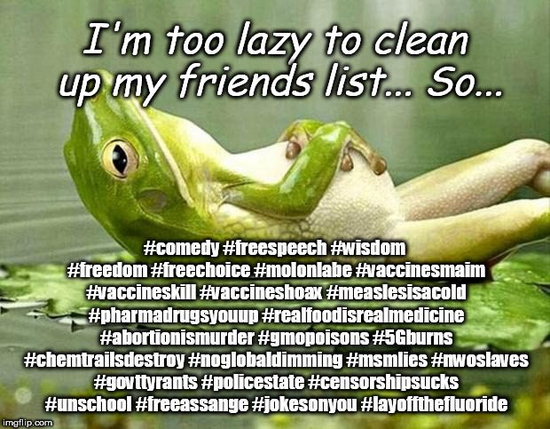 Lazy frog | I'm too lazy to clean up my friends list... So... #comedy #freespeech #wisdom #freedom #freechoice #molonlabe #vaccinesmaim #vaccineskill #vaccineshoax #measlesisacold #pharmadrugsyouup #realfoodisrealmedicine #abortionismurder #gmopoisons #5Gburns #chemtrailsdestroy #noglobaldimming #msmlies #nwoslaves #govttyrants #policestate #censorshipsucks #unschool #freeassange #jokesonyou #layoffthefluoride | image tagged in lazy frog | made w/ Imgflip meme maker