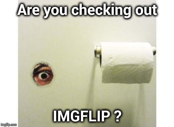 Bathroom Peeping Tom | Are you checking out IMGFLIP ? | image tagged in bathroom peeping tom | made w/ Imgflip meme maker
