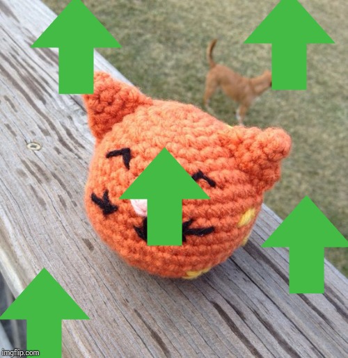 Kitty cat crochet | image tagged in kitty cat crochet | made w/ Imgflip meme maker
