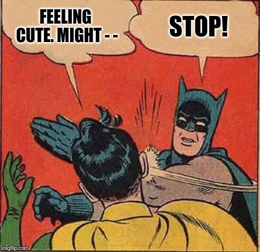 Batman Slapping Robin | FEELING CUTE. MIGHT - -; STOP! | image tagged in memes,batman slapping robin | made w/ Imgflip meme maker