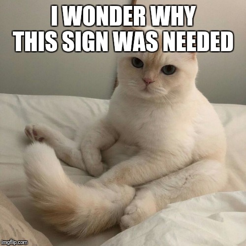 I WONDER WHY THIS SIGN WAS NEEDED | made w/ Imgflip meme maker