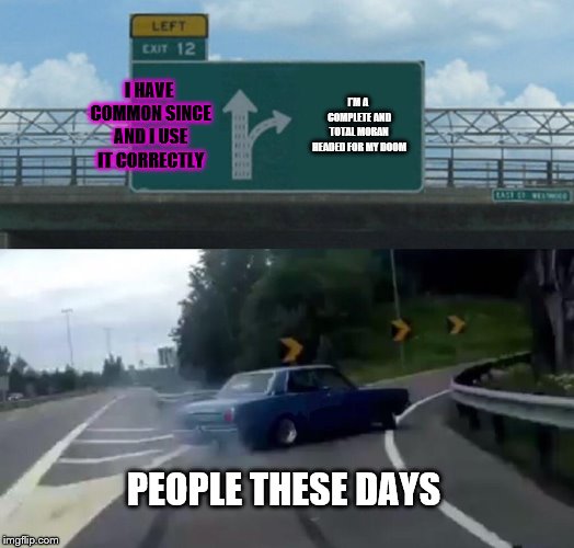 Left Exit 12 Off Ramp | I HAVE COMMON SINCE AND I USE IT CORRECTLY; I'M A COMPLETE AND TOTAL MORAN HEADED FOR MY DOOM; PEOPLE THESE DAYS | image tagged in memes,left exit 12 off ramp | made w/ Imgflip meme maker