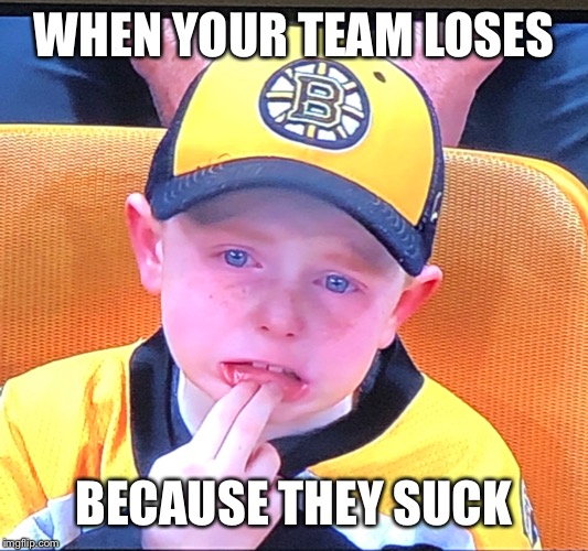 When your team loses at home | WHEN YOUR TEAM LOSES; BECAUSE THEY SUCK | image tagged in funny | made w/ Imgflip meme maker