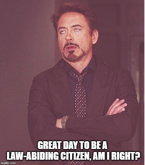 Face You Make Robert Downey Jr | GREAT DAY TO BE A LAW-ABIDING CITIZEN, AM I RIGHT? | image tagged in memes,face you make robert downey jr | made w/ Imgflip meme maker