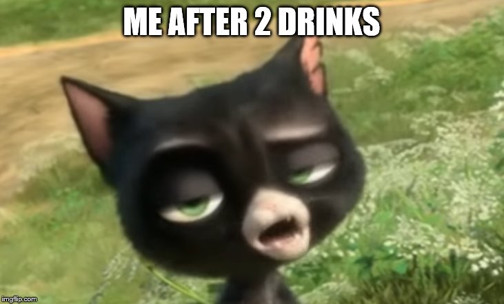 I CAN HOLD MY LIQUOR OFFICER! | ME AFTER 2 DRINKS | image tagged in wasted cat,drunk,bolt,mittens | made w/ Imgflip meme maker