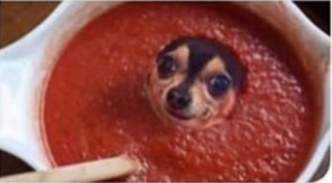 High Quality Chili Dog Blank Meme Template