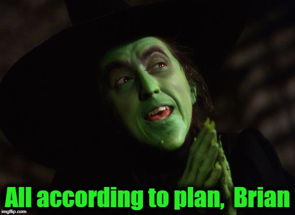 Wicked Witch West | All according to plan,  Brian | image tagged in wicked witch west | made w/ Imgflip meme maker