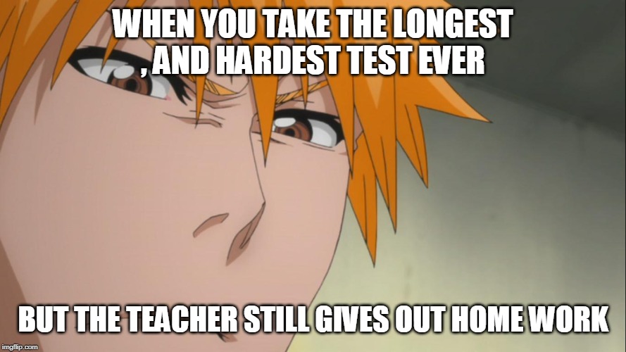 ichigo meme | WHEN YOU TAKE THE LONGEST , AND HARDEST TEST EVER; BUT THE TEACHER STILL GIVES OUT HOME WORK | image tagged in ichigo | made w/ Imgflip meme maker